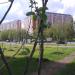 Яблоневая аллея в городе Москва