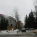 ул. Ветеранов, 12 в городе Сертолово