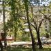 Планерная ул., 16 корпус 4 в городе Москва