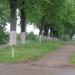 Аллея в городе Кропоткин