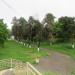 Аллея в городе Кропоткин