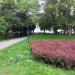 Skwer na Placu Ofiar Getta dawniej kirkut in Rzeszów city