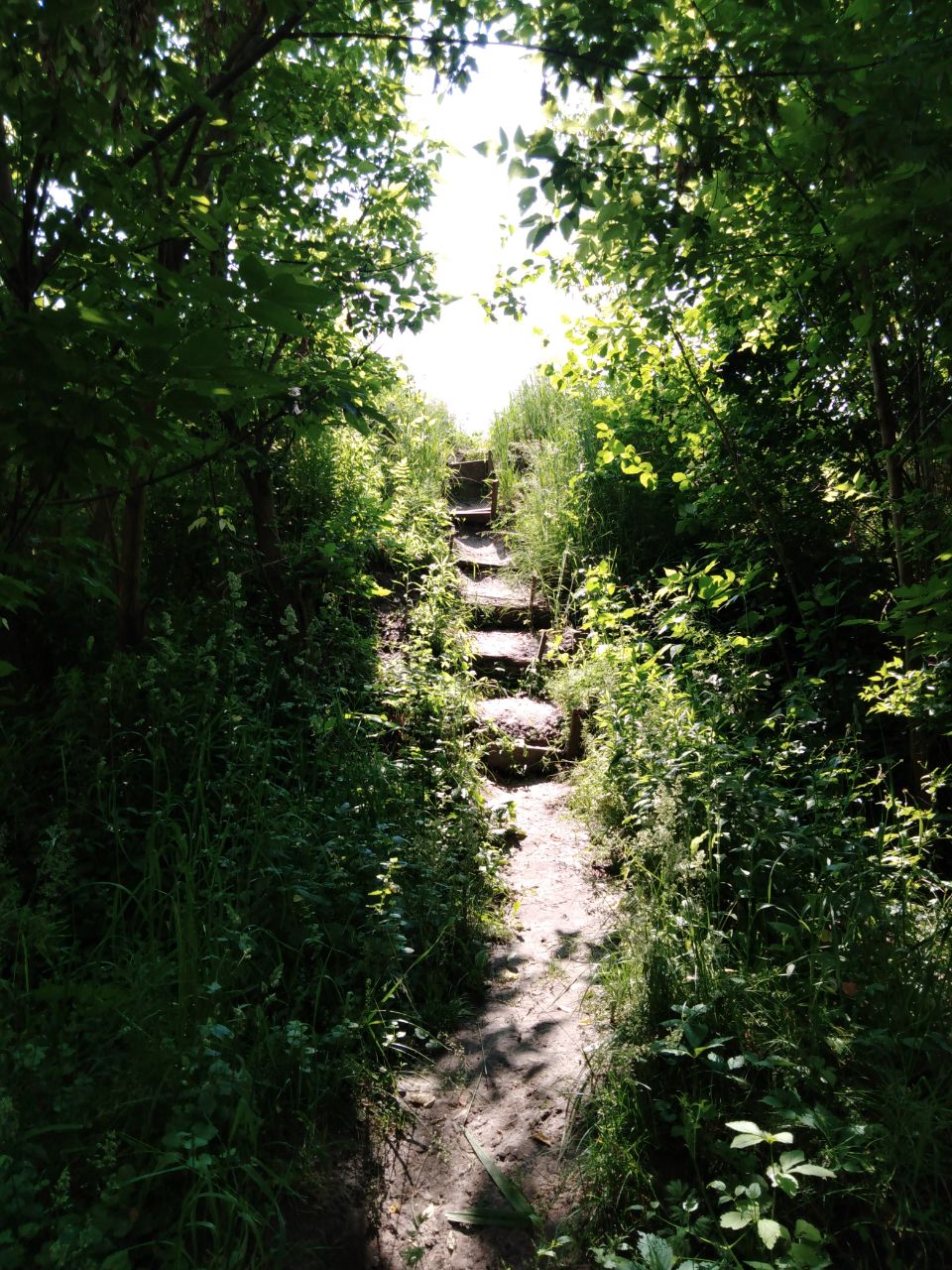 steps-kharkiv