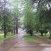 Школьная территория в городе Сочи