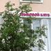 Языковой клуб «Англичанка» в городе Москва
