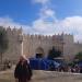 بوابة دمشق في ميدنة القدس الشريف 