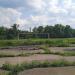 Burevestnik stadium football ground/soccer pitch