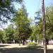 Park in Kobyłka city