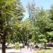 Park in Kobyłka city