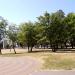Park in Kobyłka city