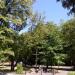 Park in Kobyłka city