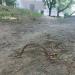Торчащая из земли арматура в городе Москва