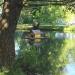 Домик для водоплавающих птиц в городе Москва