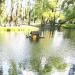 Домик для водоплавающих птиц в городе Москва