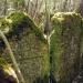 Shchyrets Jewish Cemetery