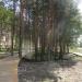 Сквер в городе Полярные Зори