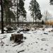 Огороды в городе Новое Девяткино