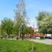 Сад барона Розена в городе Курган