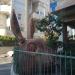 Rabbit Head (en) in תל אביב - יפו city