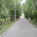 Аллея в городе Москва