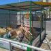 קרטון למיחזור (he) in Tel Aviv-Yafo city