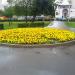 Цветник в городе Москва