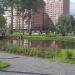 Пруд в городе Павловский Посад