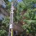 Pylon 10619A in Tel Aviv-Yafo city