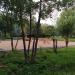 Площадка для выгула собак в городе Москва