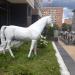 Лошадь в городе Нижний Новгород