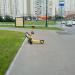 Парковка для самокатов в городе Москва