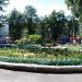 Flowerbed in Kharkiv city