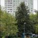 Дорожная ул., 18 корпус 1 в городе Москва