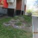Цветник в городе Череповец