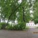 Сквер в городе Череповец
