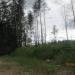 Насыпь в городе Череповец
