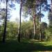 Мигаловский лес в городе Тверь