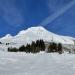 Timberline Lodge Ski Area