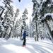 Mount Hood Meadows