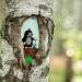 Рисунок на дереве «Крот» в городе Новосибирск