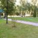 Беседка в городе Москва