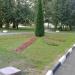 Цветник в городе Москва