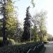 Ель в городе Москва