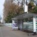 Автобусная остановка «11-я Парковая улица» в городе Москва