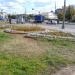 Цветник в городе Москва
