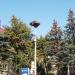 Гнездо аистов в городе Яремче