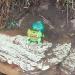 Gruta do Bulbassauro (Pokémon) na Araruama city