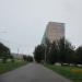 Березовая роща в городе Череповец