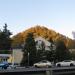 Остановка «Дом культуры» (Дагомыс) в городе Сочи