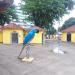 Monumento da Arara na Araruama city